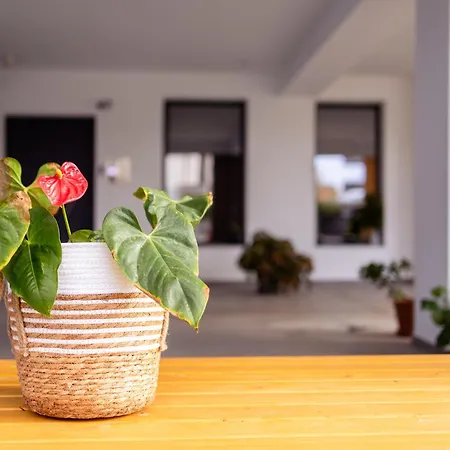 Pagani Blue - Luxury Maisonette I1